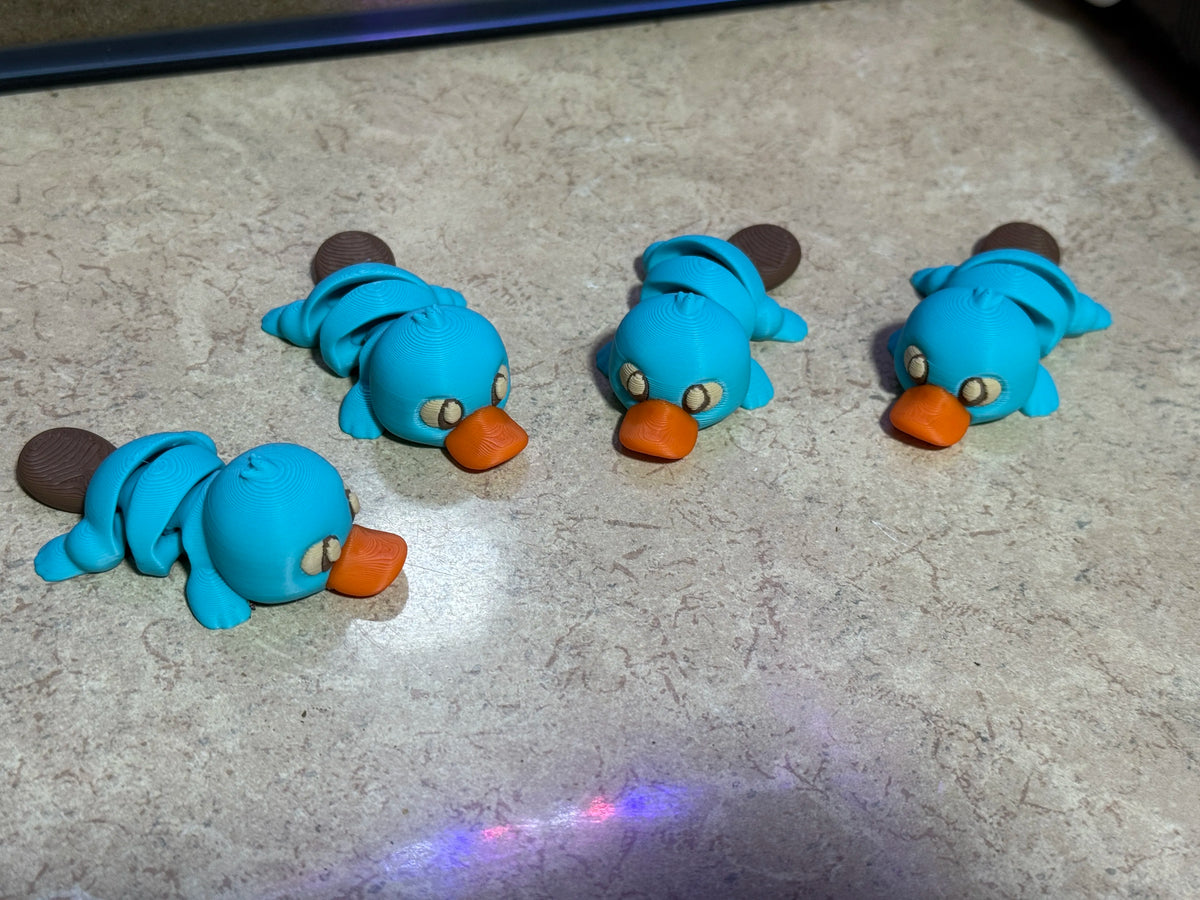 Platypus Flexi Toy – 3D Printed Articulated Platypus