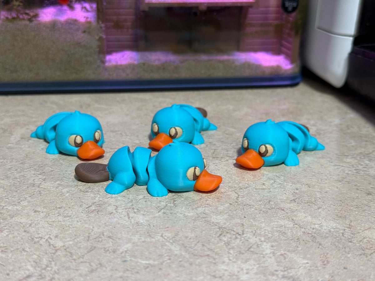 Platypus Flexi Toy – 3D Printed Articulated Platypus